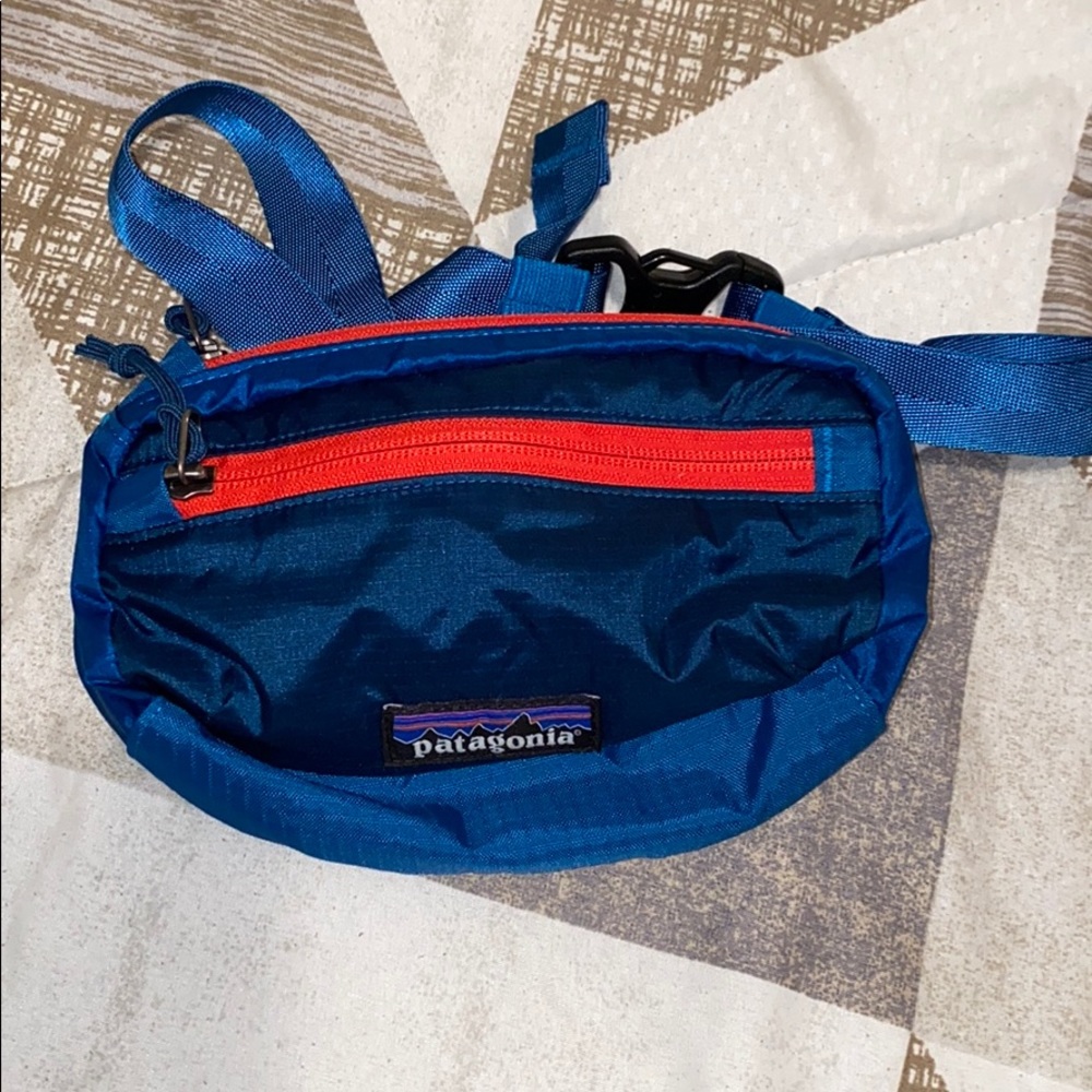 Patagonia Fanny Pack
